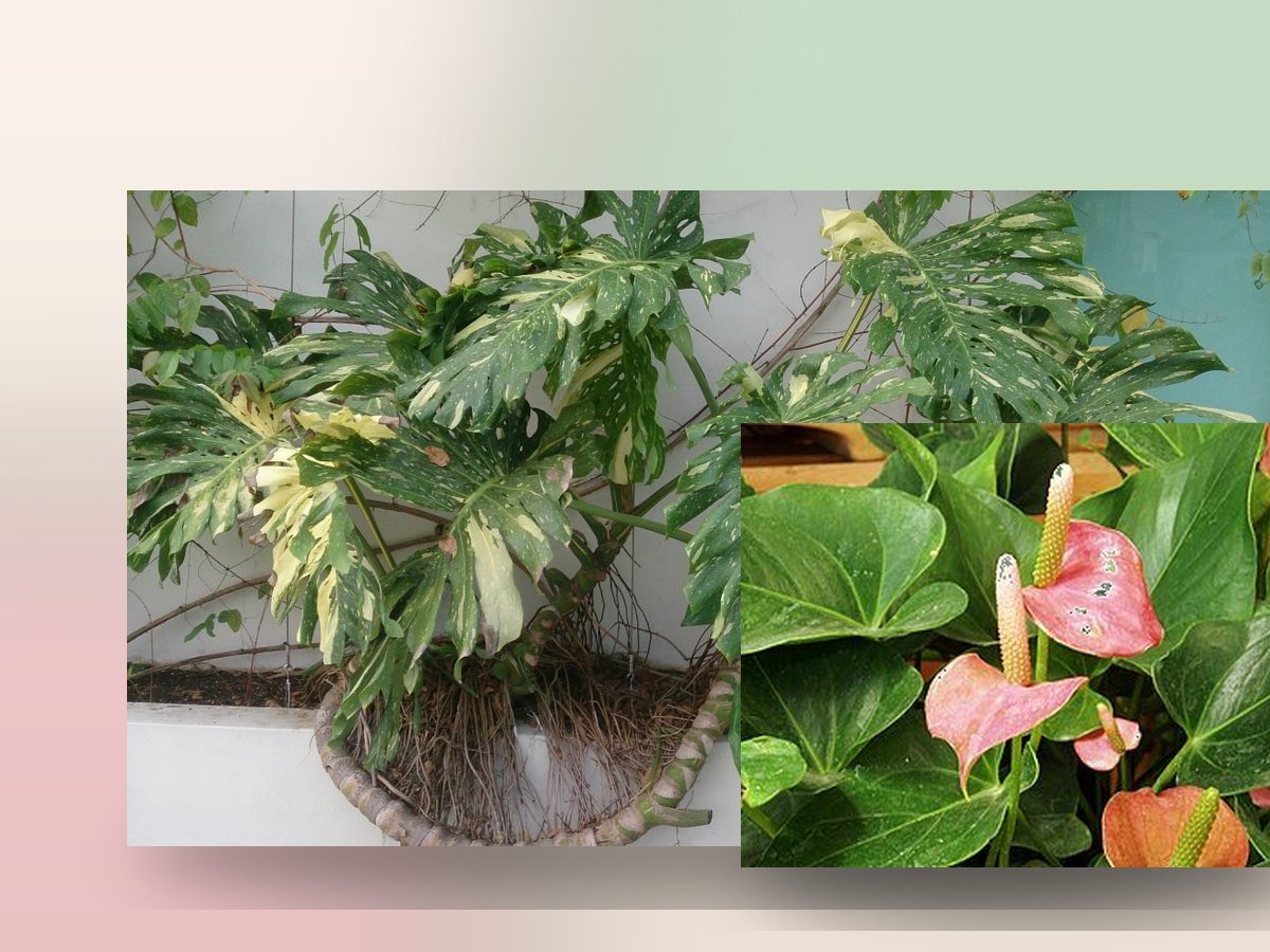 Una floristería de barrio con alma de taller